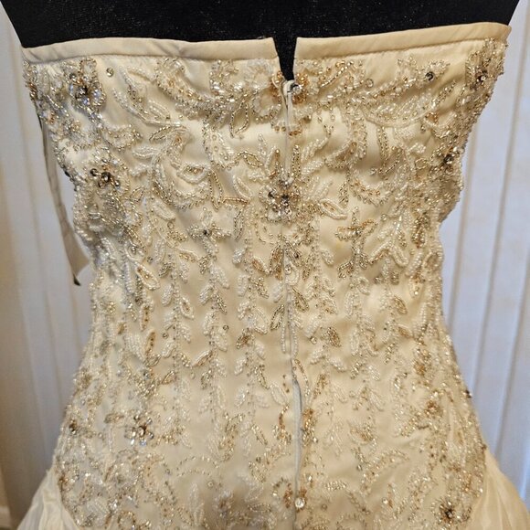 Stephen Yearick Beige Wedding Dress 6 - Picture 8 of 12
